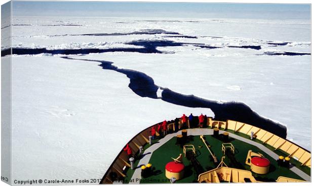 Ice Breaking in the Ross Sea Canvas Print by Carole-Anne Fooks
