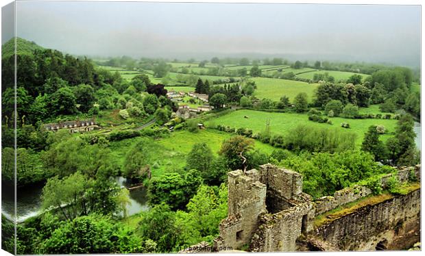 View From Ludlow Castle Canvas Print by Carole-Anne Fooks