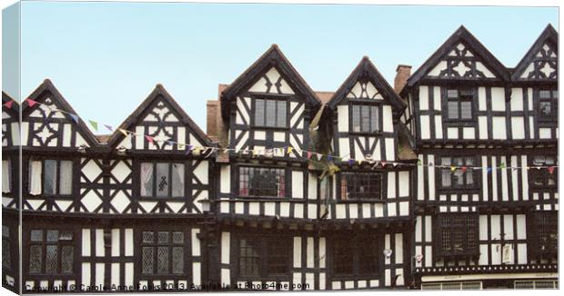 Ludlow Half Timbered Tudor Building Canvas Print by Carole-Anne Fooks