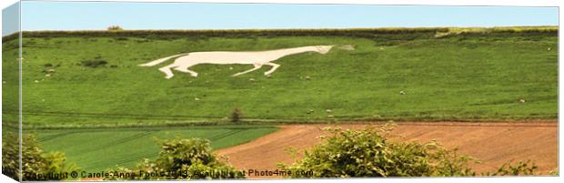White horse at Devizes Canvas Print by Carole-Anne Fooks