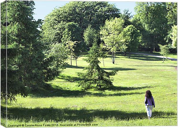 Swansea Gardens Canvas Print by Carole-Anne Fooks