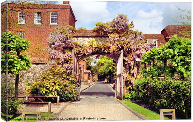 Wisteria Bower Winchester Canvas Print by Carole-Anne Fooks