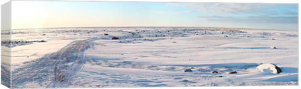Tundra Panorama Canada Canvas Print by Carole-Anne Fooks