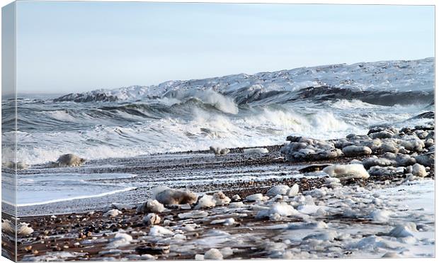 Hudson Bay Shoreline Canada Canvas Print by Carole-Anne Fooks