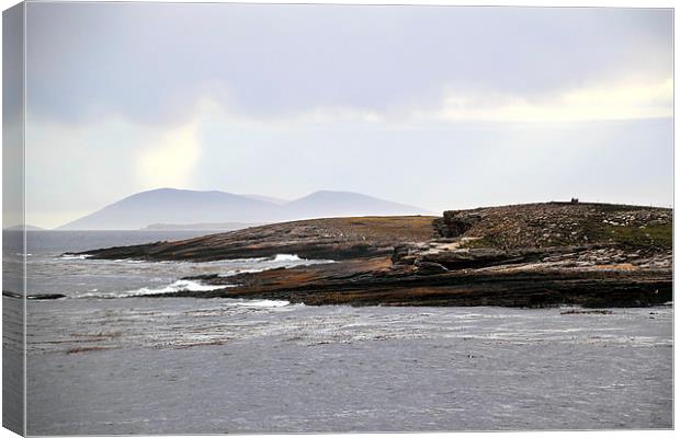 Approaching Carcass Island in The Falklands Canvas Print by Carole-Anne Fooks