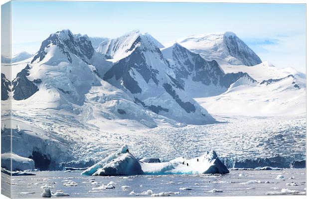 Cierva Cove Glaciers & Iceberg Canvas Print by Carole-Anne Fooks