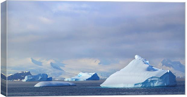 Cierva Cove Antarctica Canvas Print by Carole-Anne Fooks