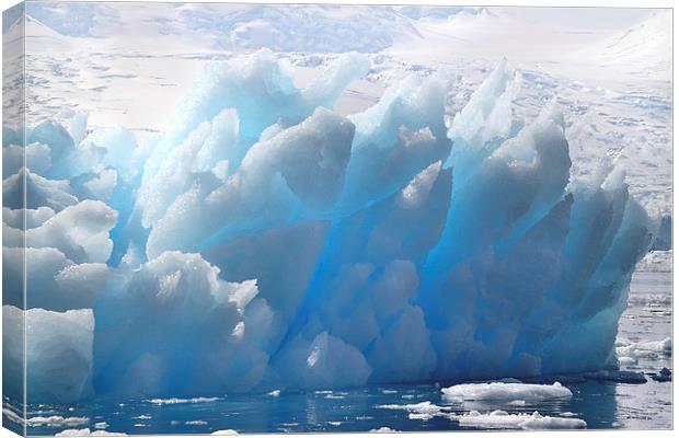 Iceberg Cierva Cove Antarctica Canvas Print by Carole-Anne Fooks