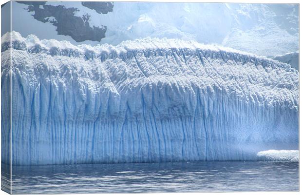 Wall of Ice Antarctica Canvas Print by Carole-Anne Fooks