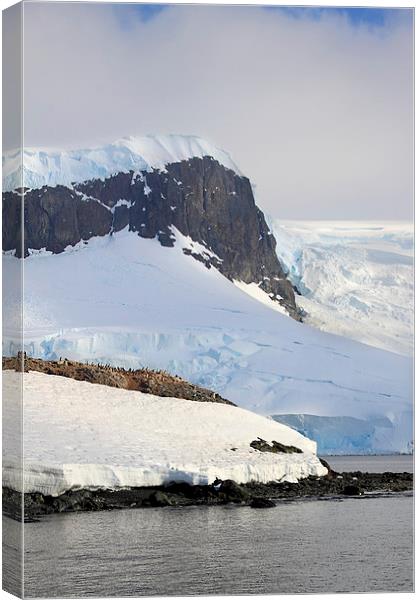 Trinity Island & The Antarctic Peninsula Canvas Print by Carole-Anne Fooks