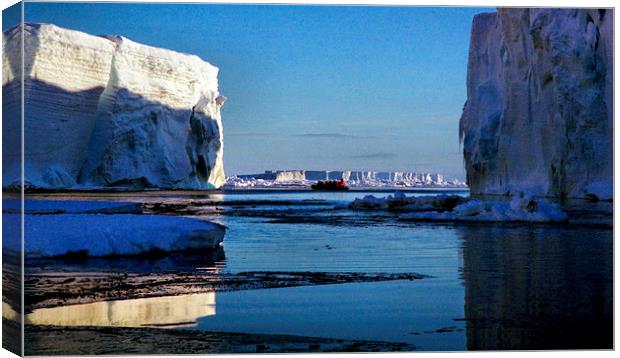 Tabular Icebergs, Cape Roget, Antarctica Canvas Print by Carole-Anne Fooks