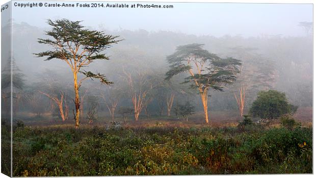 Foggy Morning, Lake Nakuru, Kenya Canvas Print by Carole-Anne Fooks