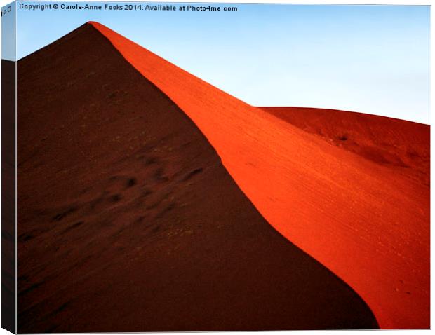 Sculptural Dune, Namib Desert, Namibia Canvas Print by Carole-Anne Fooks