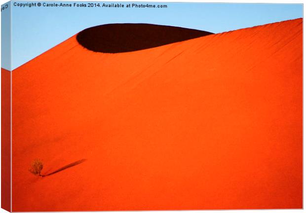 Sculptured dune, Namib Desert soon after sunrise Canvas Print by Carole-Anne Fooks