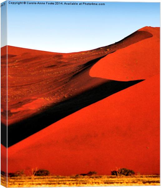 Bold Sculptural Dune, Namibia Canvas Print by Carole-Anne Fooks