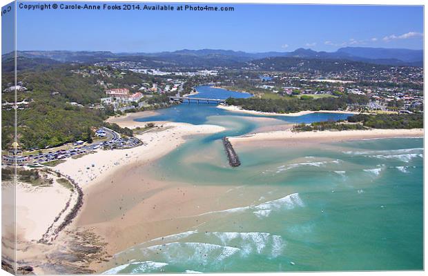   Gold Coast Aerial Canvas Print by Carole-Anne Fooks