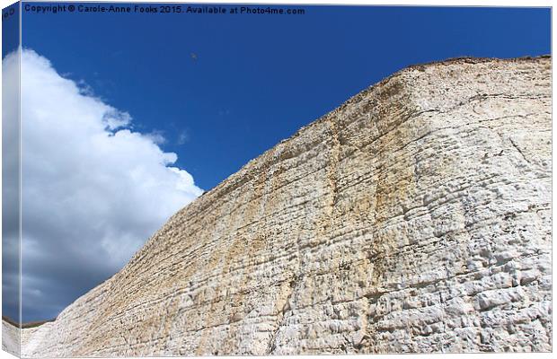   Chalk Cliffs at Saltdean East Sussex Canvas Print by Carole-Anne Fooks