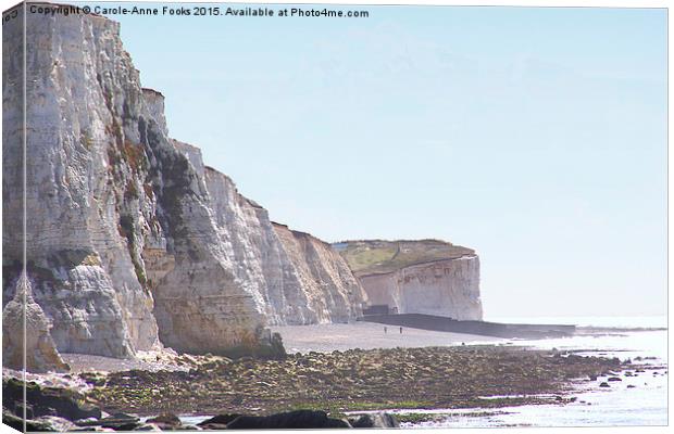 Chalk Cliffs at Saltdean East Sussex Canvas Print by Carole-Anne Fooks