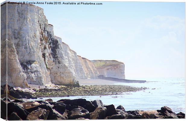   Chalk Cliffs at Saltdean East Sussex Canvas Print by Carole-Anne Fooks