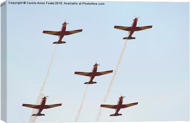  The Roulettes Canvas Print by Carole-Anne Fooks