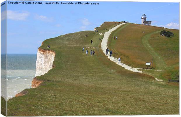   Seven Sisters From The Top Of The Cliffs Canvas Print by Carole-Anne Fooks