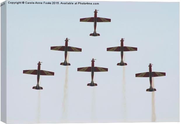   The Roulettes  Canvas Print by Carole-Anne Fooks