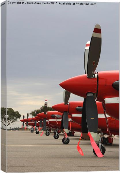   The Roulettes on the Ground Canvas Print by Carole-Anne Fooks