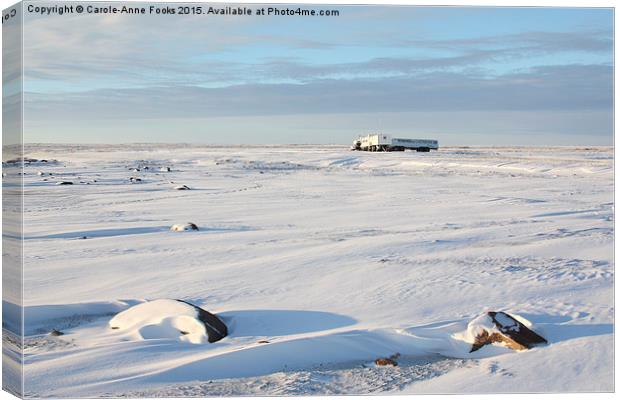  Tundra Buggy Lodge on the Vast Tundra Canvas Print by Carole-Anne Fooks