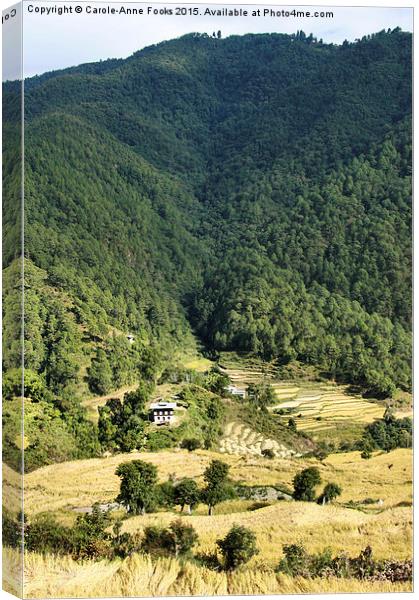  Eastern Himalaya Bhutan Canvas Print by Carole-Anne Fooks