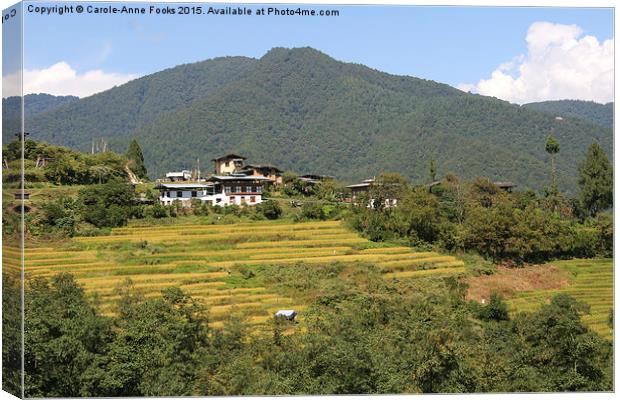  Farms & Landscape, Bhutan Canvas Print by Carole-Anne Fooks