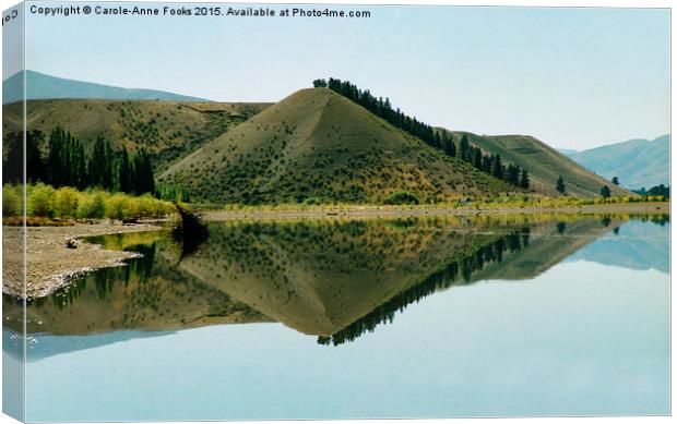  Cromwell Dam Reflections, New Zealand Canvas Print by Carole-Anne Fooks