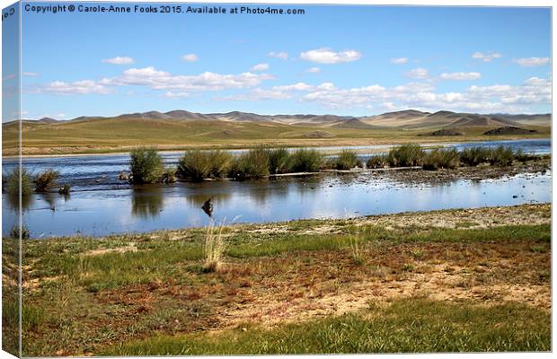  Gun Galuut, Mongolia Canvas Print by Carole-Anne Fooks