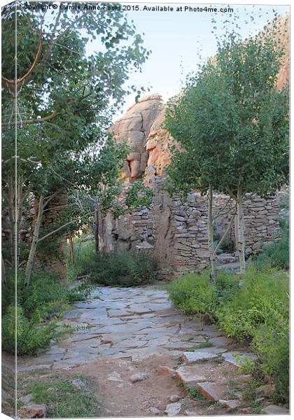  Temple Ruins Middle Gobi Mongolia Canvas Print by Carole-Anne Fooks