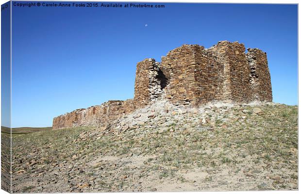  Fortress. Middle Gobi Mongolia Canvas Print by Carole-Anne Fooks