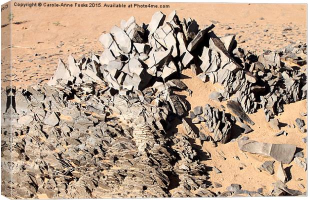  Southern Gobi Mongolia Canvas Print by Carole-Anne Fooks