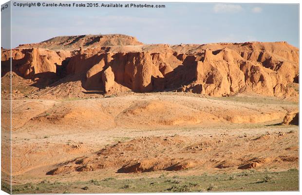  Southern Gobi Mongolia Canvas Print by Carole-Anne Fooks