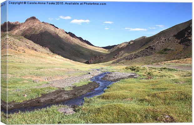  Southern Gobi Mongolia Canvas Print by Carole-Anne Fooks