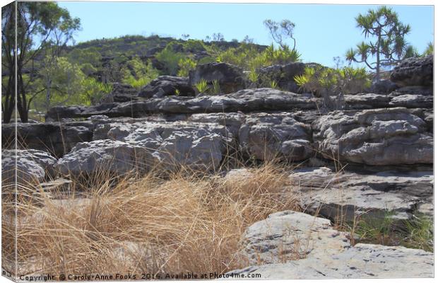 Billabong Environment Canvas Print by Carole-Anne Fooks