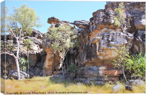 Mount Borradaile Canvas Print by Carole-Anne Fooks