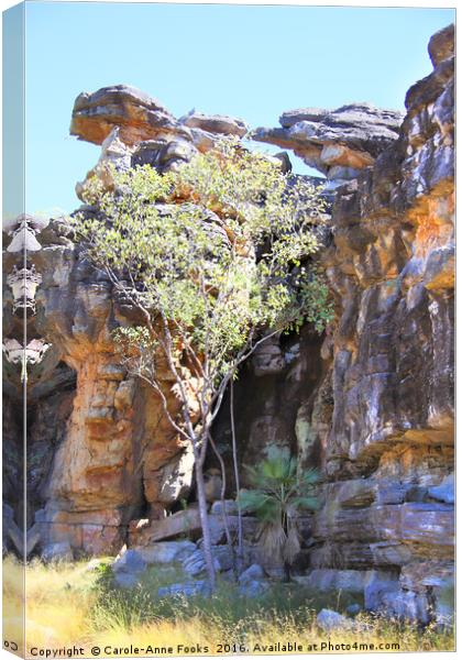 Mount Borradaile Canvas Print by Carole-Anne Fooks