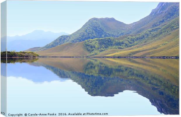 Reflections at Melaleuca Canvas Print by Carole-Anne Fooks
