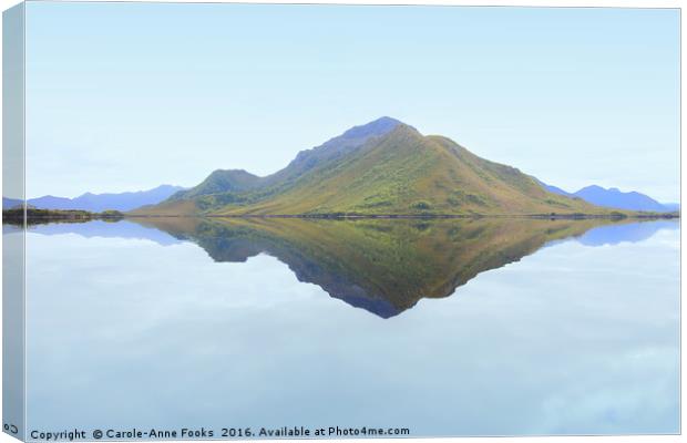 Reflections at Melaleuca Canvas Print by Carole-Anne Fooks