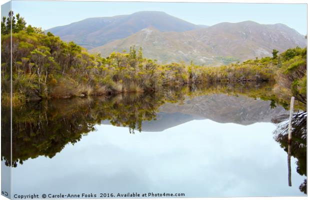 Melaleuca Creek Tasmania Canvas Print by Carole-Anne Fooks