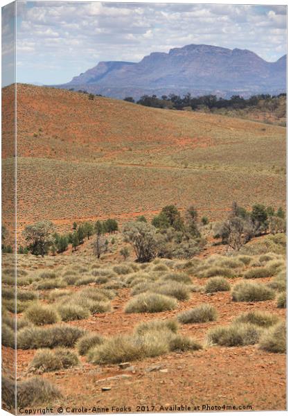 Wilpena Pound, Flinders Ranges in the Spring Canvas Print by Carole-Anne Fooks