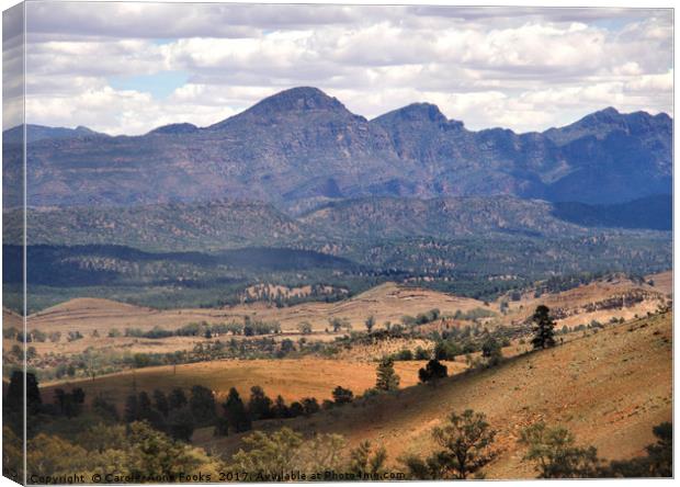 Wilpena Pound, Flinders Ranges in the Spring Canvas Print by Carole-Anne Fooks