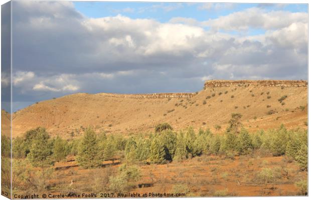 The Great Wall of China, Flinders Ranges Canvas Print by Carole-Anne Fooks