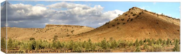 The Great Wall of China, Flinders Ranges Canvas Print by Carole-Anne Fooks
