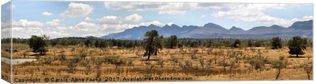 Panorama of the Wilpena Pound, Flinders Ranges Canvas Print by Carole-Anne Fooks