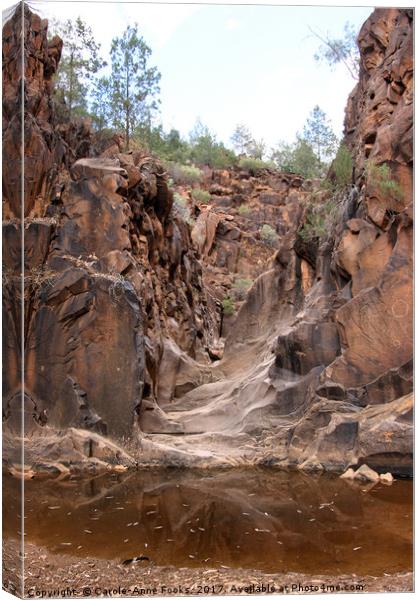 Sacred Canyon, Flinders Ranges Canvas Print by Carole-Anne Fooks