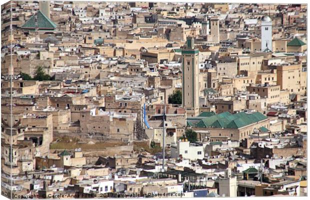 Medina of Fes Canvas Print by Carole-Anne Fooks